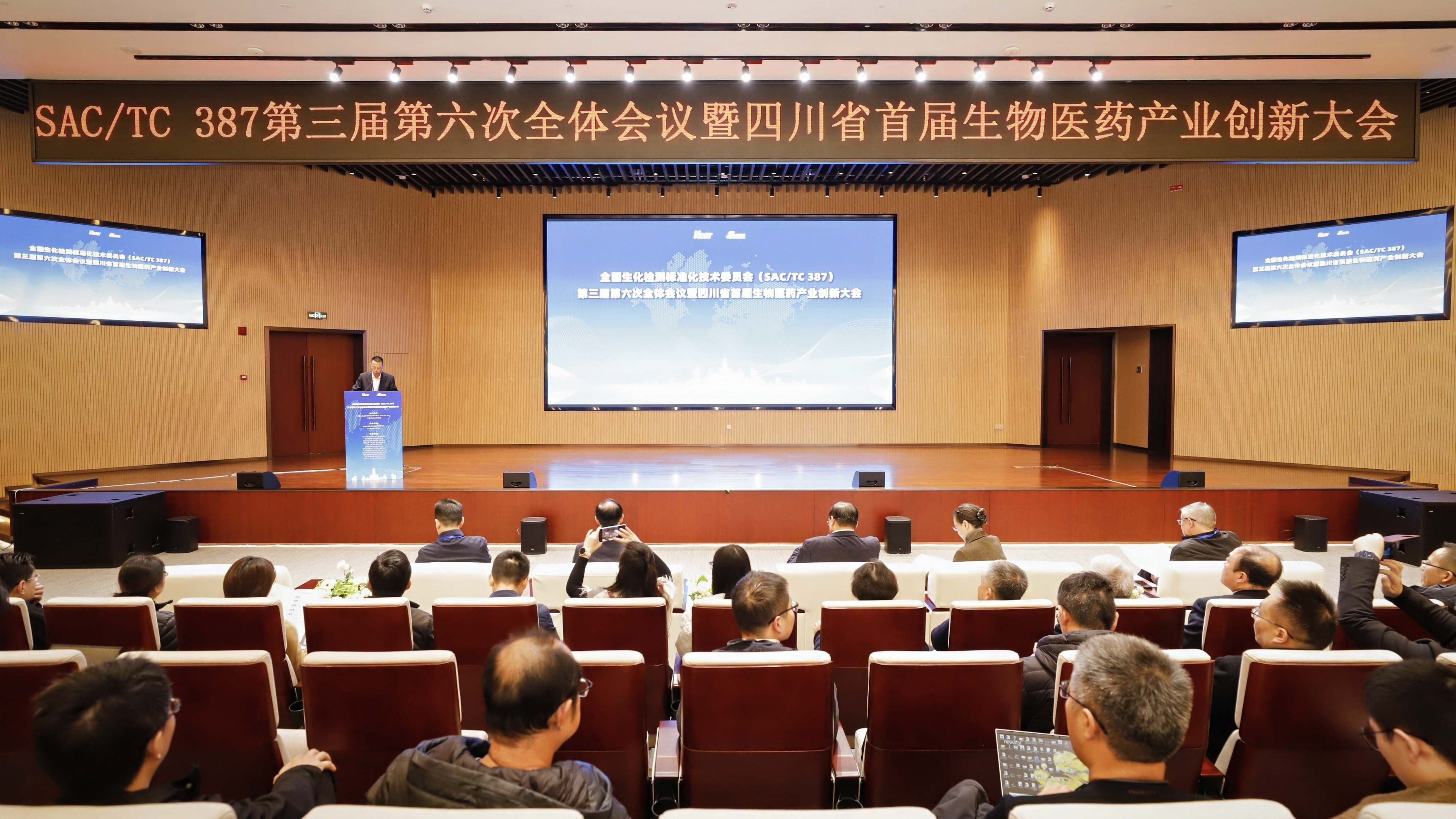 1733106916283097202.png 1733106916283097202.png